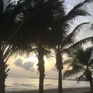 Meet your Posher, Ozzy